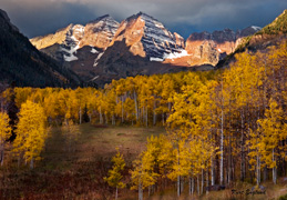 bells and aspens for frame.jpg