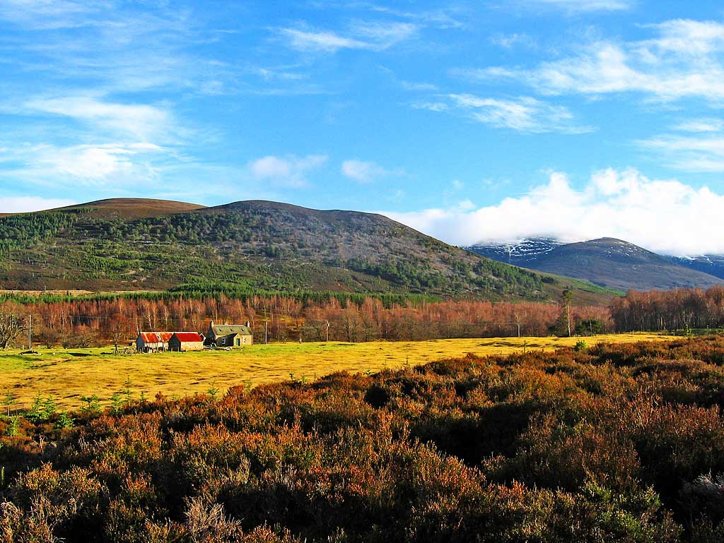 Glen Feshie
