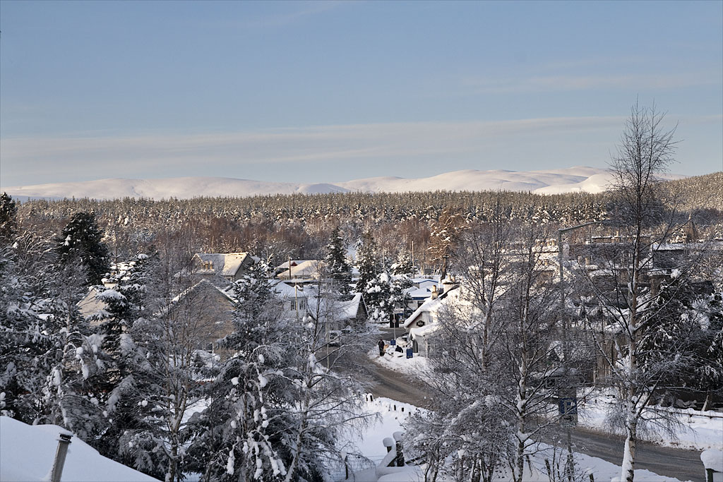 Carrbridge1.jpg