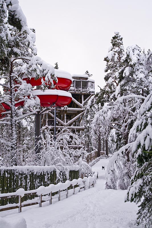 Winter slides.jpg