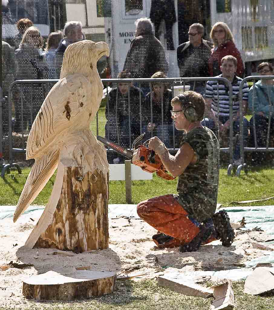 Carve Carrbridge 2007