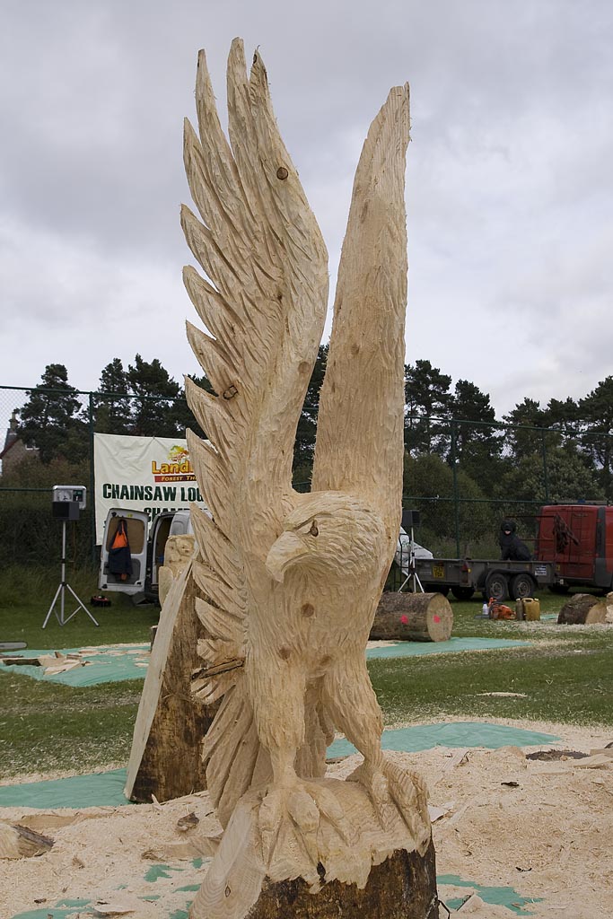 Carve Carrbridge 2007