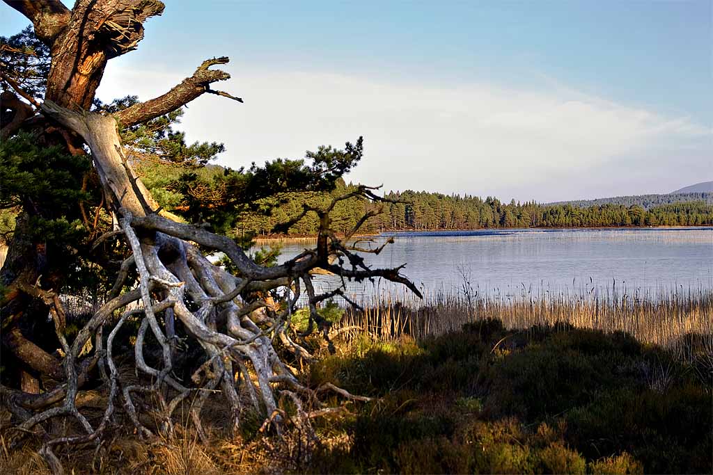 Loch an Eilean