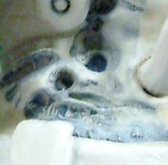 closeup.JPG