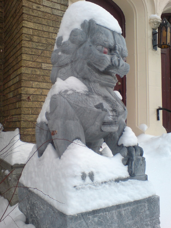DSC01113.JPG