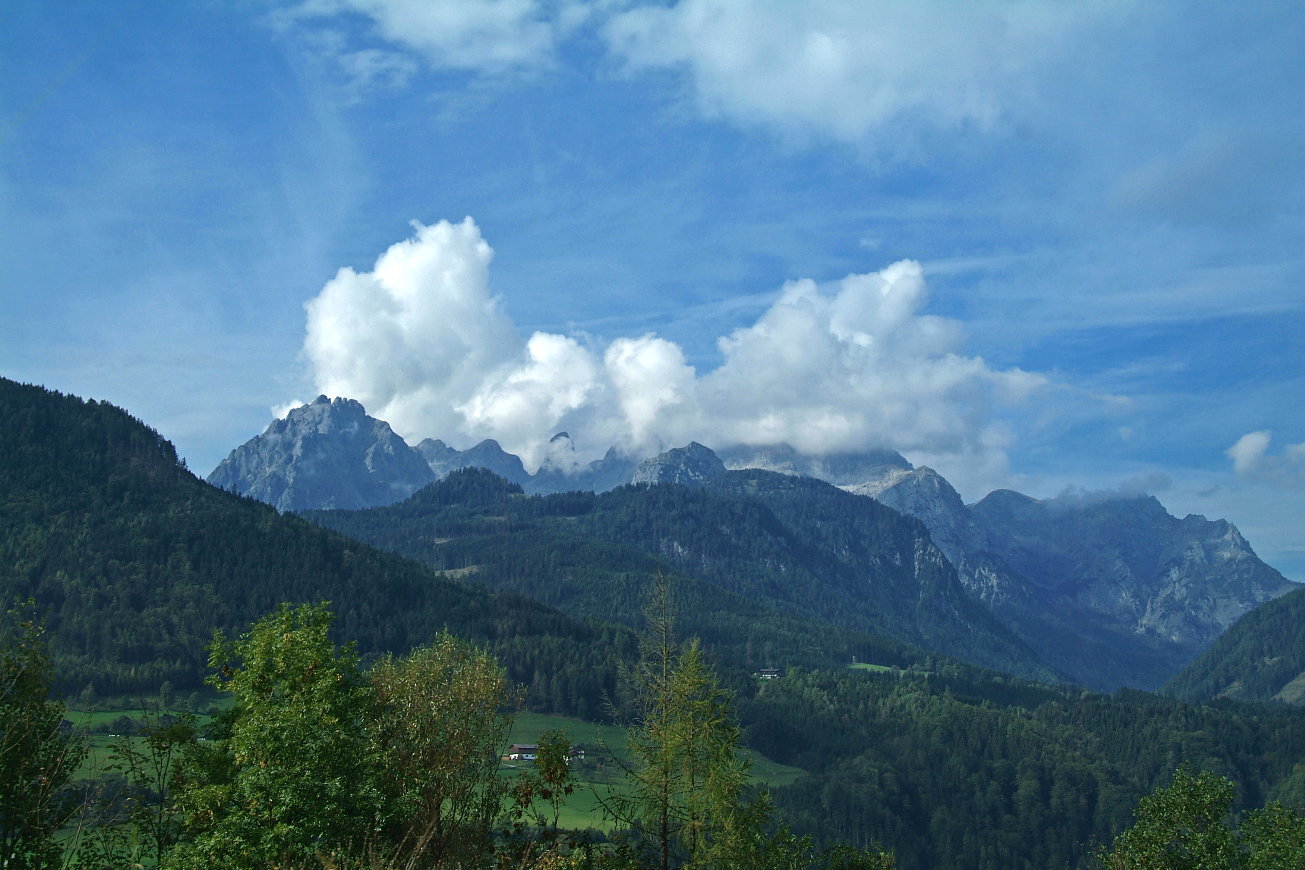DSCF3614a.jpg
