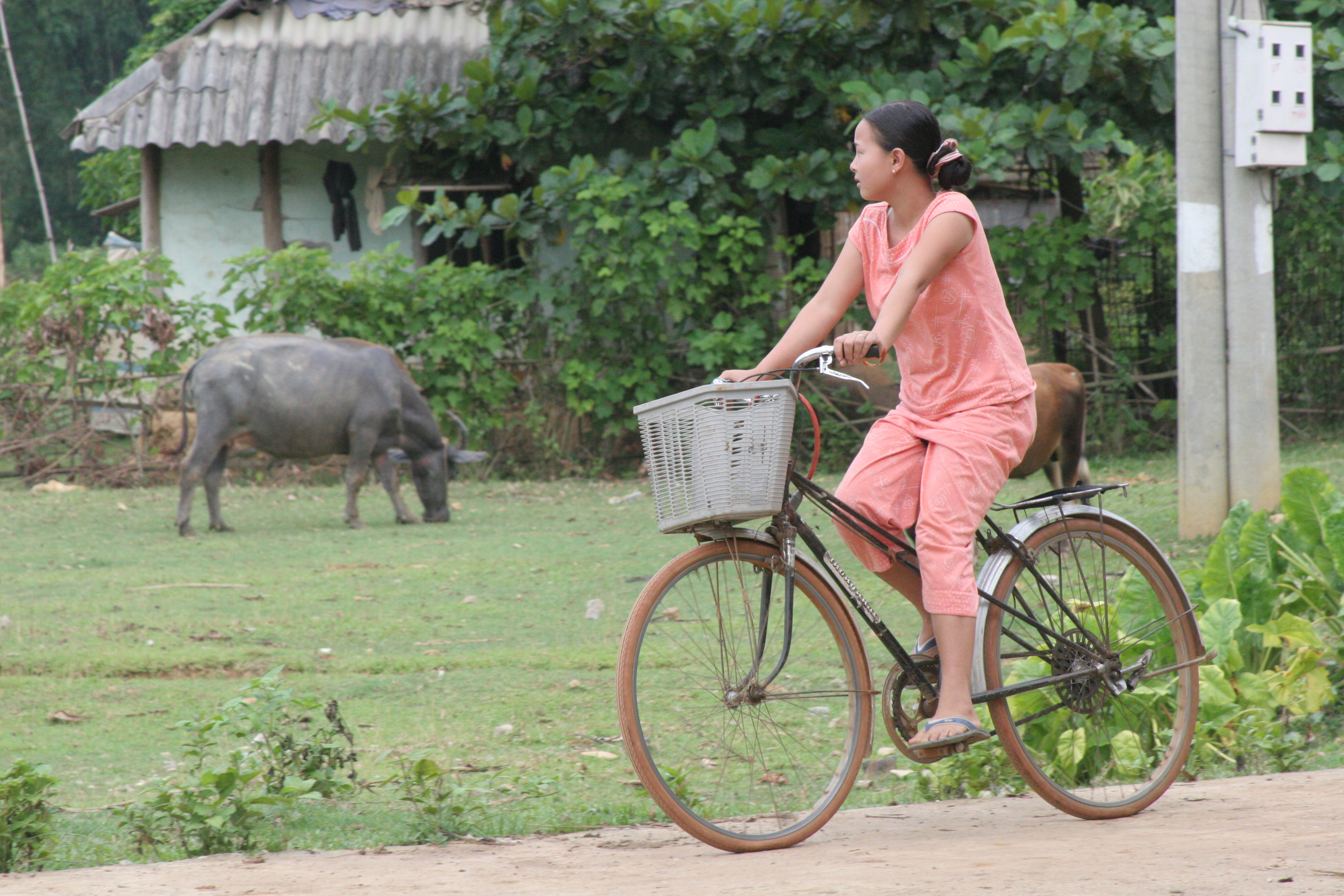 Cycling