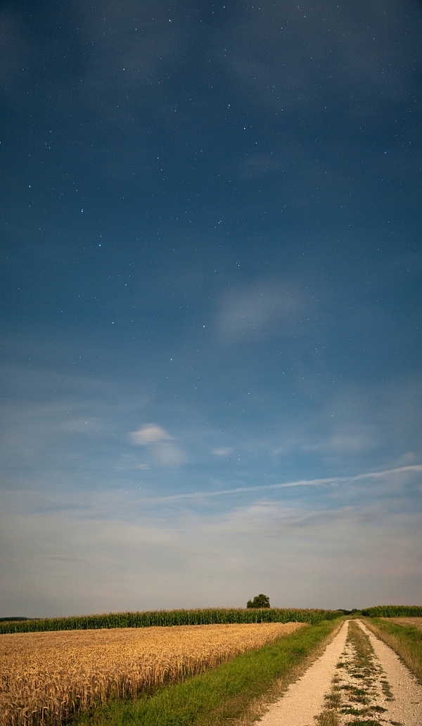 Pano vertical