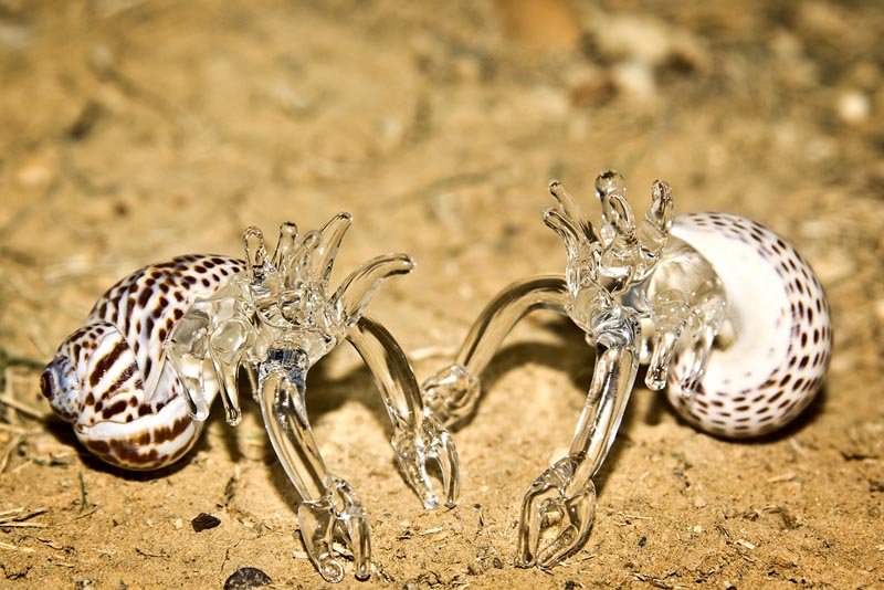 Glass Crabs