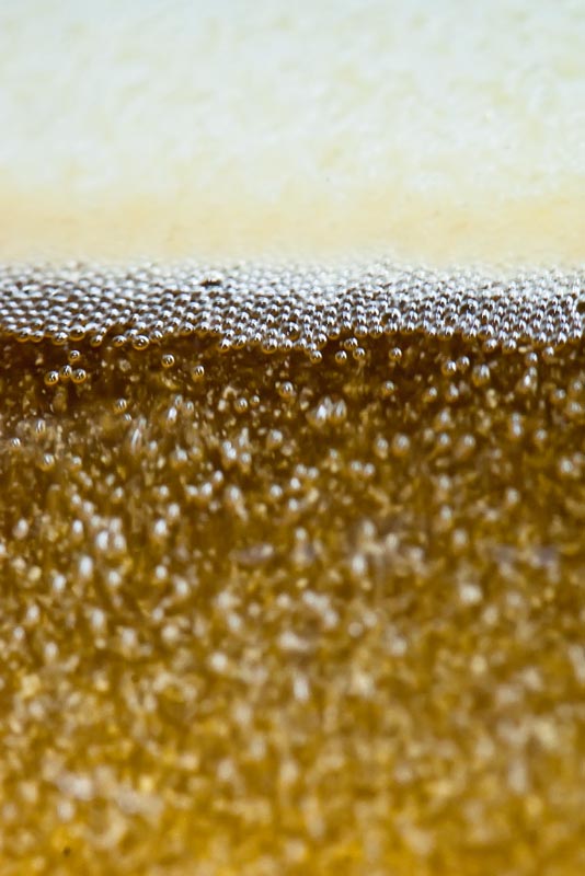 Fermentation Activity