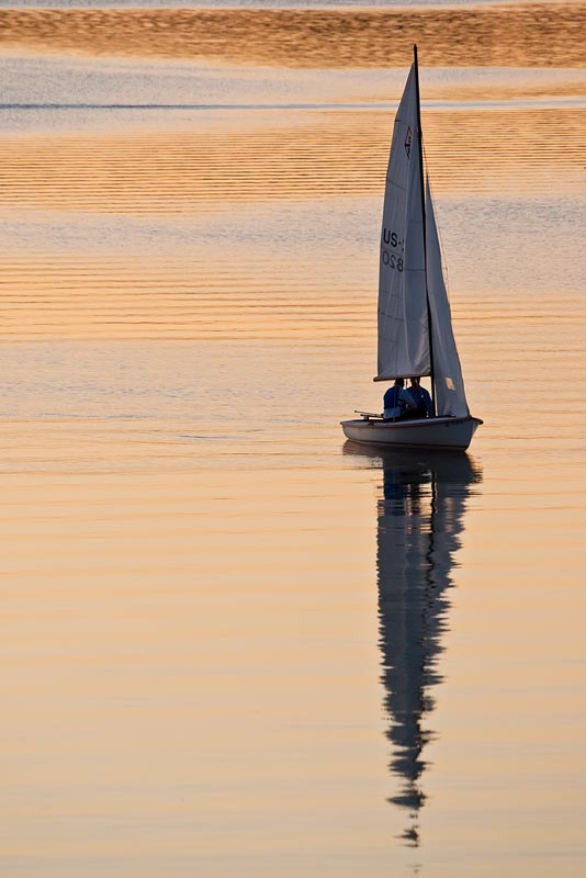 Ripples And Reflections