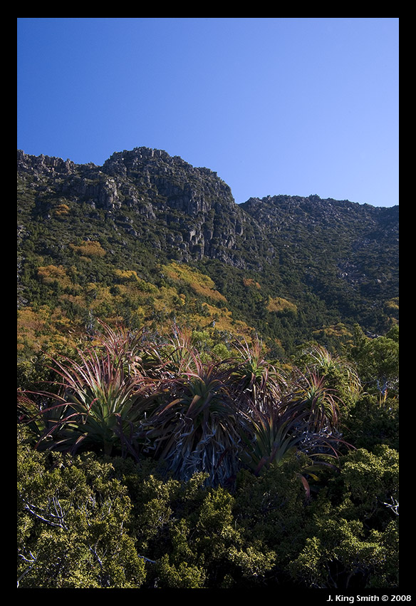 Rodway range #3