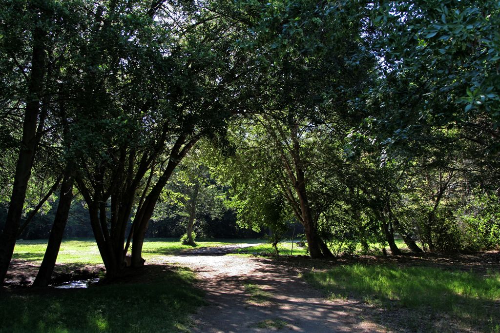 Rivernook Camp Ground