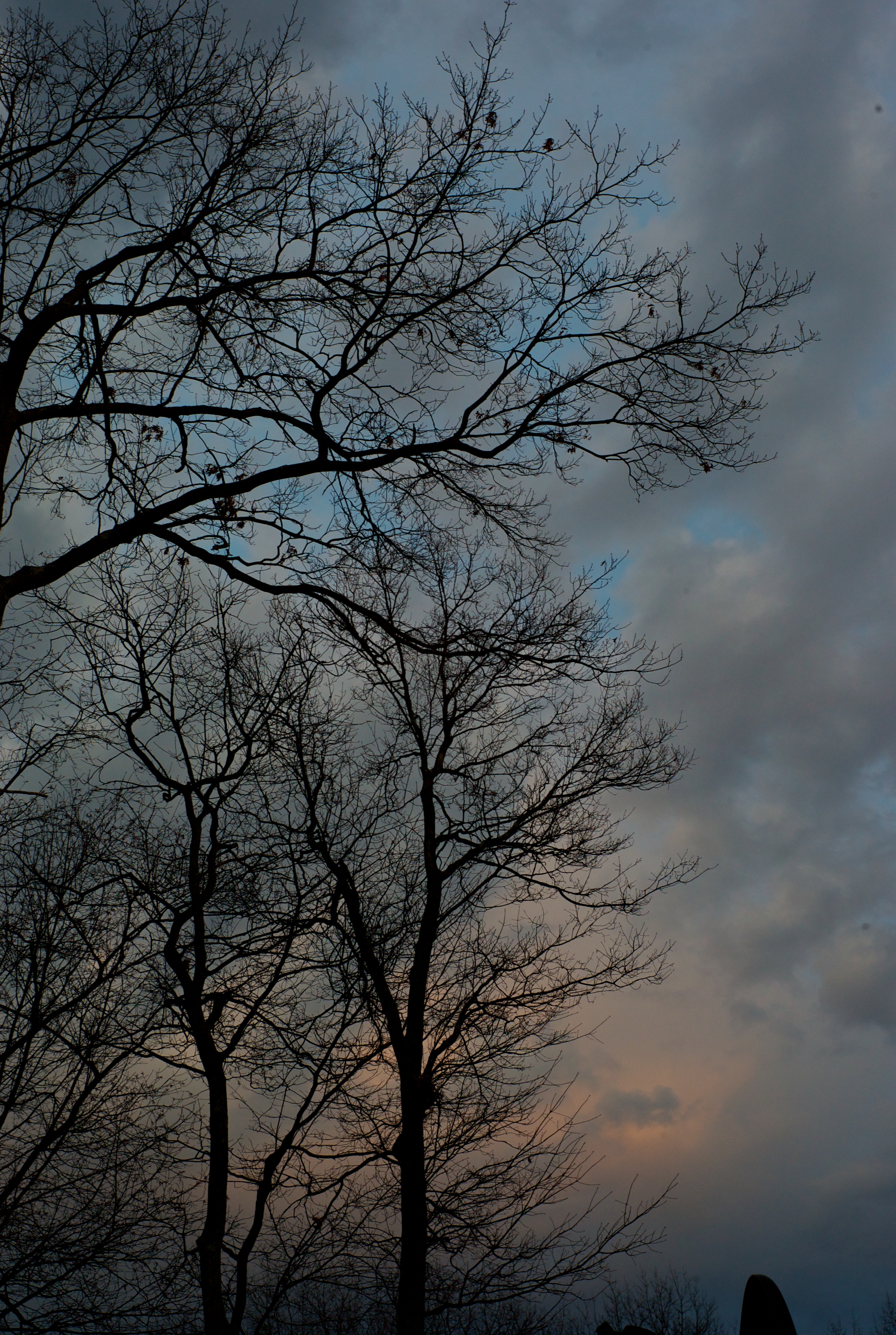 East at Sunset