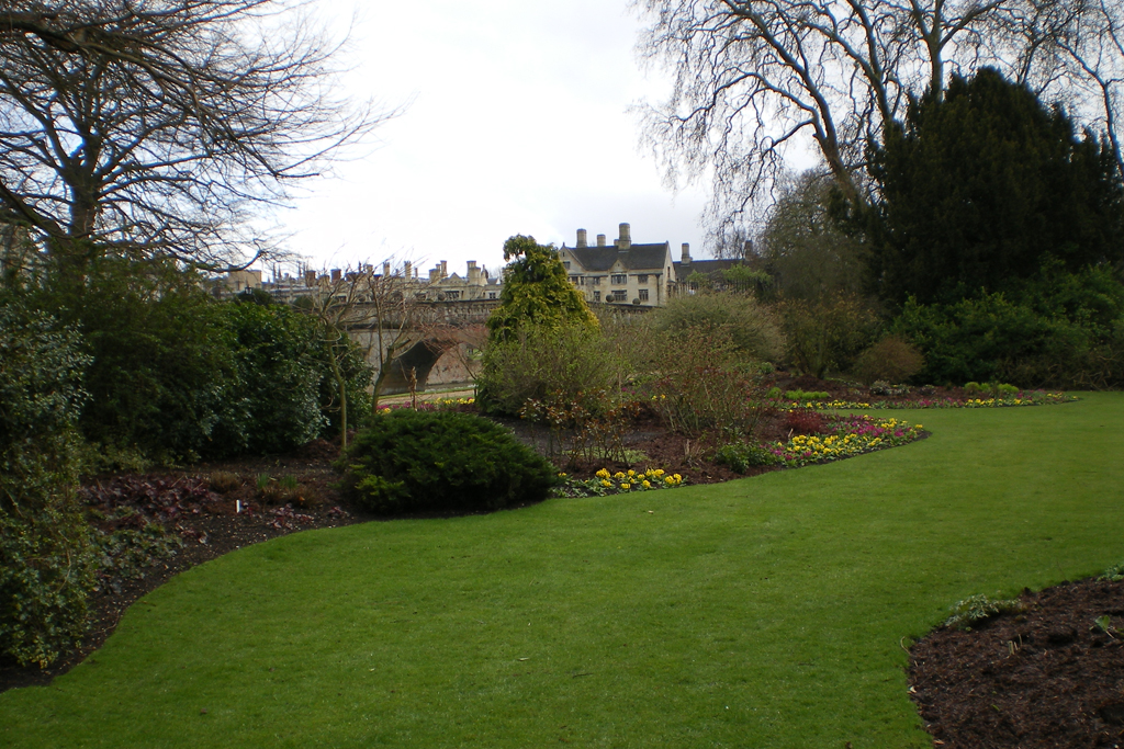 IMGP0706.JPG