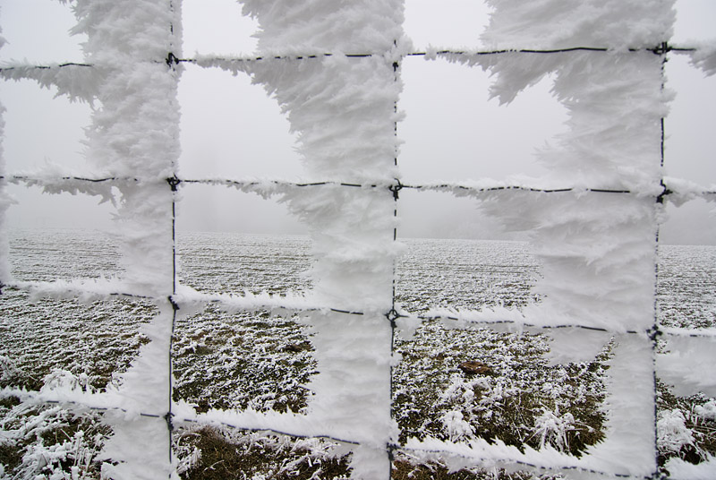 Hoarfrost on deer fence , Central Otago, New Zealand