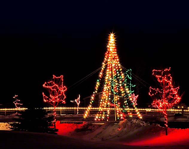 Tree2
