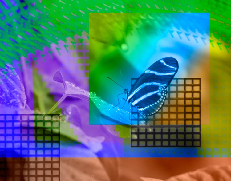 B8