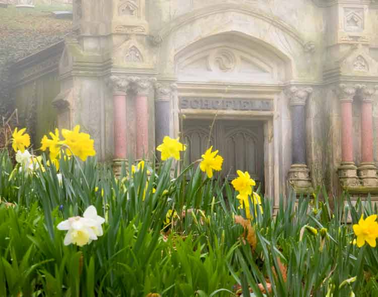 Flowers near the Tomb