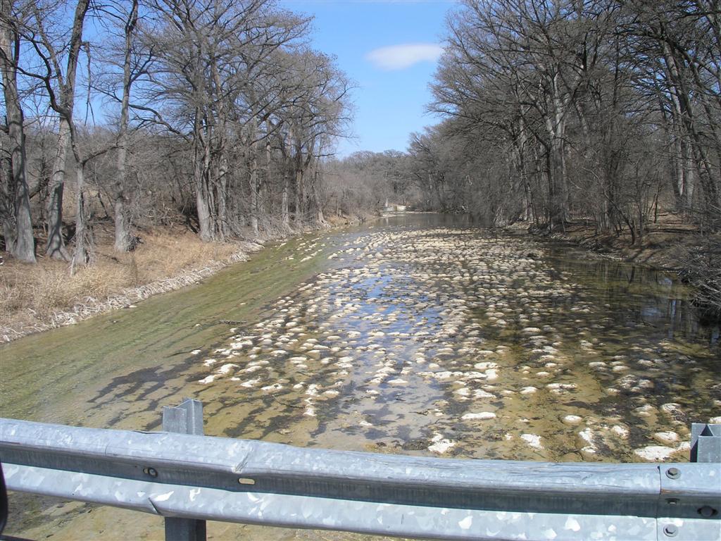 Rocks on river bottom