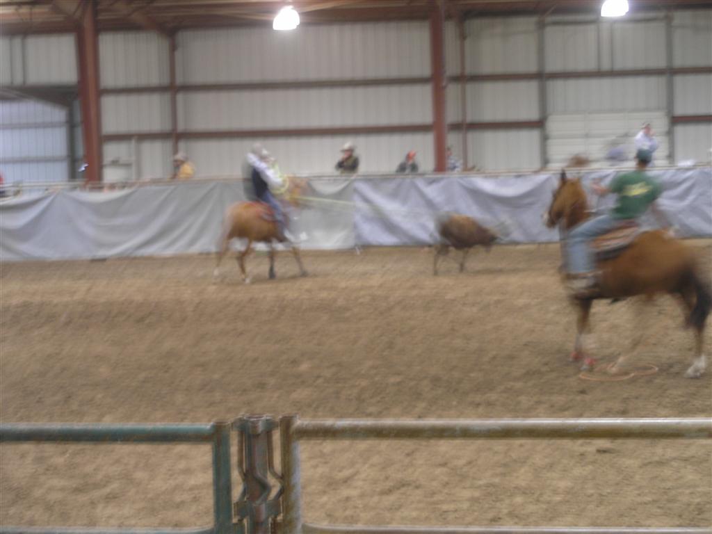 Calf Roping