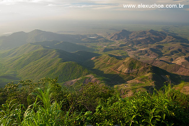 Pico Alto, Pacoti, Serra de Baturite, Ceara 8558