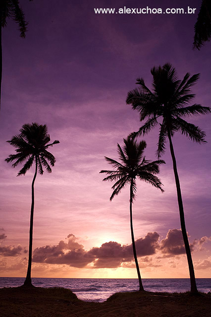 Porto de Galinhas, Ipojuca, Pernambuco 9199.jpg