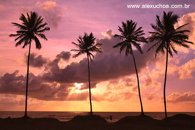 Porto de Galinhas, Ipojuca, Pernambuco 9207.jpg