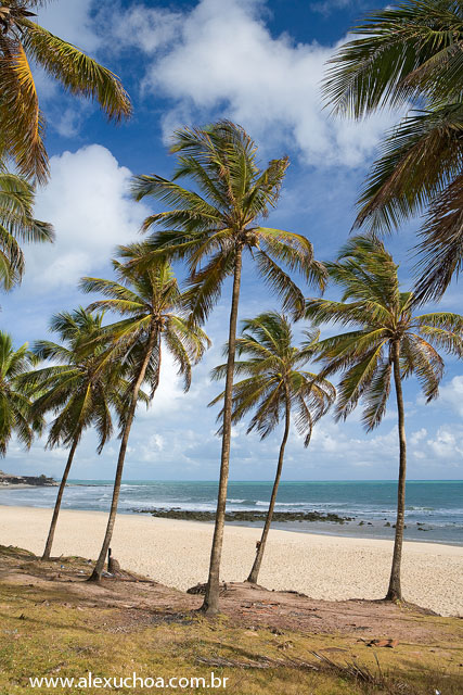 Praia do Amor, Pipa, Tibau do Sul, Rio Grande do Norte 0596.jpg
