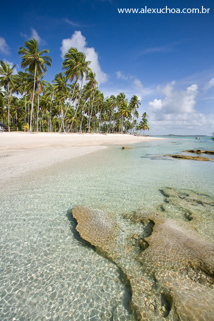 Praia dos Carneiros, Rio Formoso, Pernambuco 9511.jpg