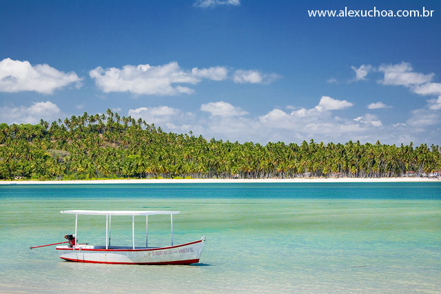 Praia dos Carneiros, Rio Formoso, Pernambuco 9457.jpg