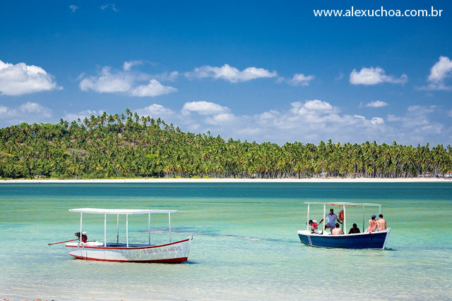 Praia dos Carneiros, Rio Formoso, Pernambuco 9459.jpg