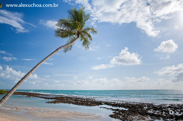 Praia dos Carneiros, Rio Formoso, Pernambuco 9473.jpg