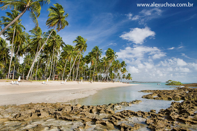 Praia dos Carneiros, Rio Formoso, Pernambuco 9478.jpg