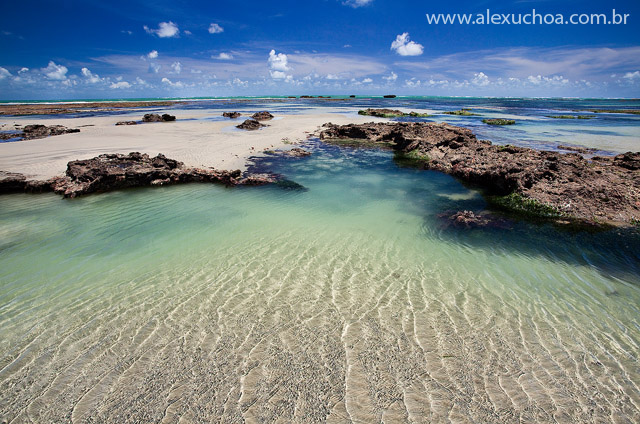 Praia das Fleixeiras, Trairi, Ceara, 2010-03-02 5398.jpg