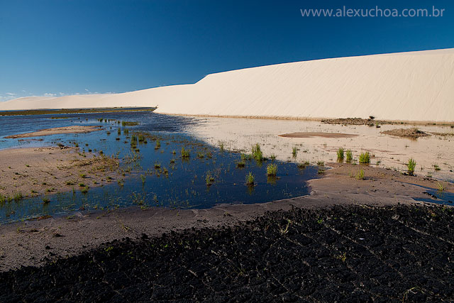 Lencois Maranhenses, Maranhao, 9152.jpg