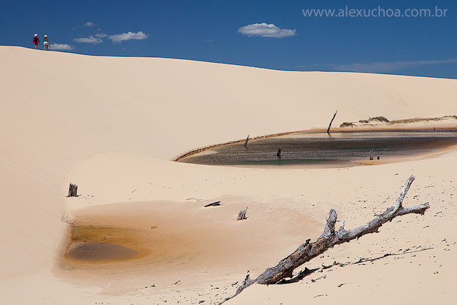 Lencois Maranhenses, Maranhao, 9832.jpg