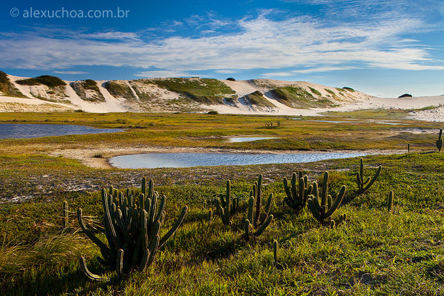 Sabiaguaba, Fortaleza, Ceara, 1644.jpg