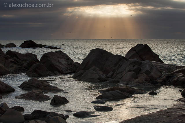 Ponta-das-Campanhas-Praia-Armacao-Florianopolis-120424-0664.jpg