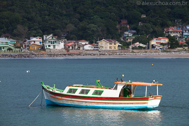 Praia-Armacao-Florianopolis-120424-0681.jpg