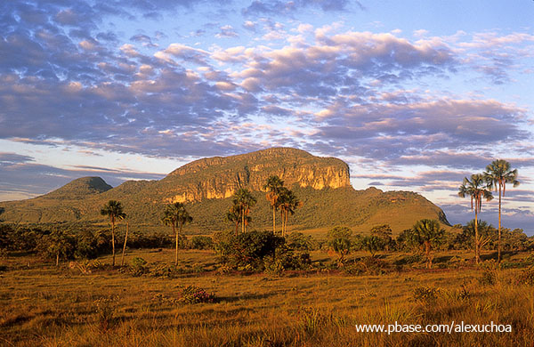 Chapada dos Veadeiros