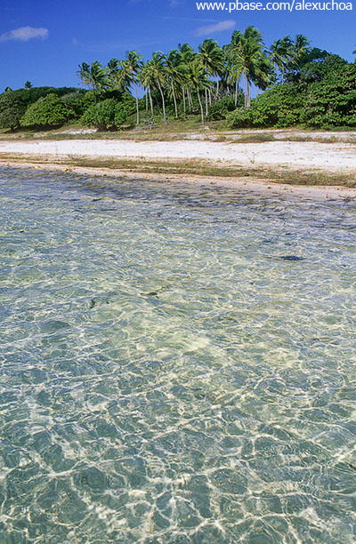 Lagoa jijoca, Jericoacoara, Cear