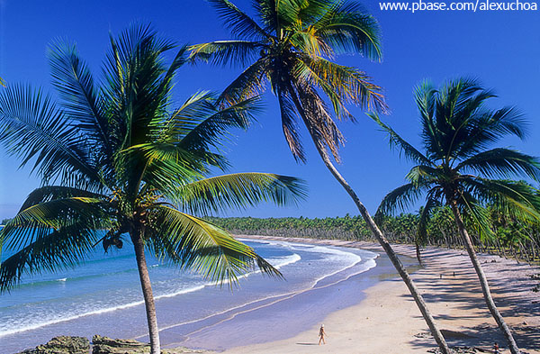 Praia da Cueira, Ilha de Boipeba, Bahia