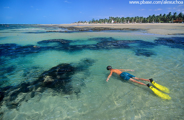 mergulho nas piscinas naturais da praia de fleixeiras2.jpg