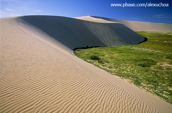 Dunas em Jericoacoara