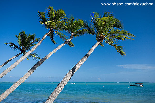 Ponta Verde, Macei- AL 9859