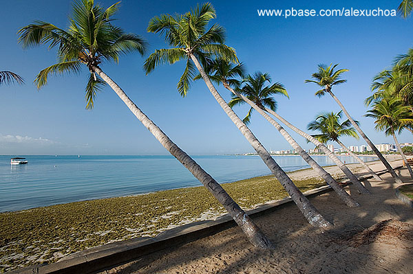 Ponta Verde, Macei- AL 9950
