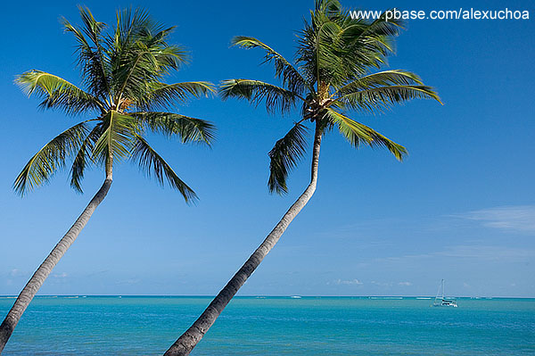 Praia de Ponta Verde, Macei- AL 9875