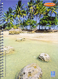Capa Sulamericana de Cadernos Coleção 2006