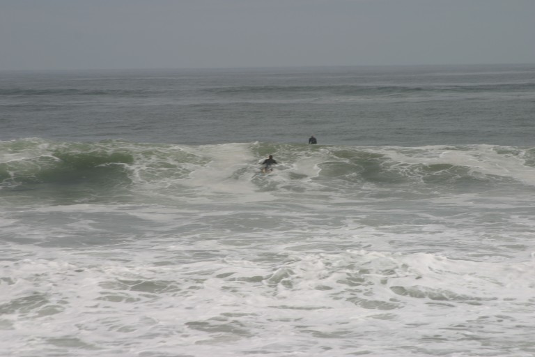 IMG_2116.jpg